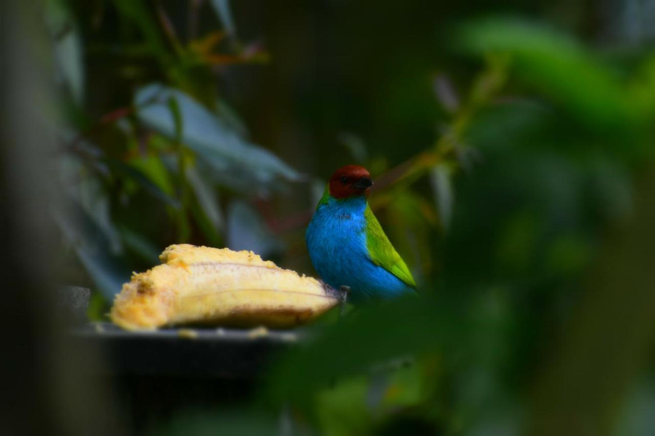 ホテル Posada Donde Cupeto サレント エクステリア 写真