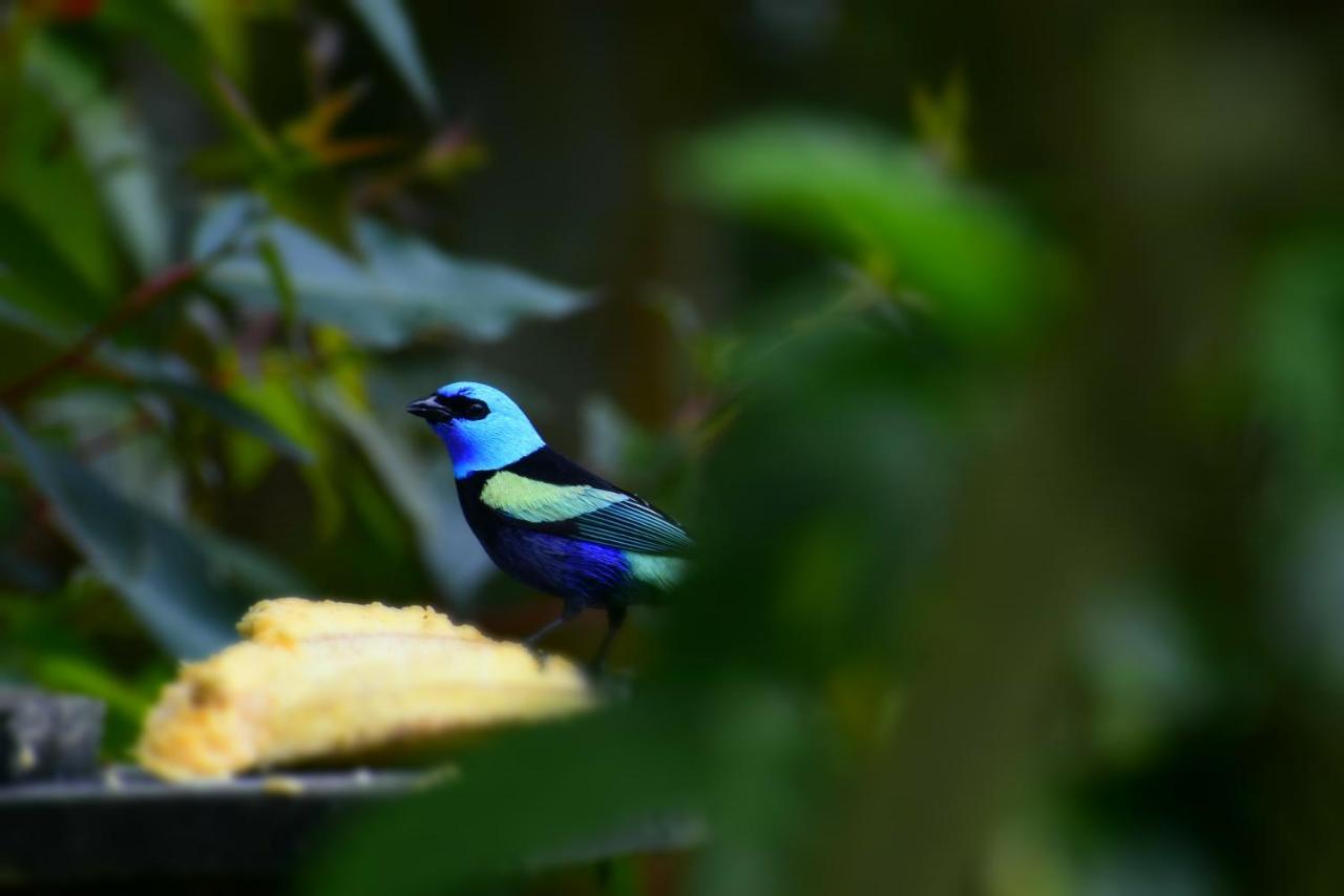 ホテル Posada Donde Cupeto サレント エクステリア 写真