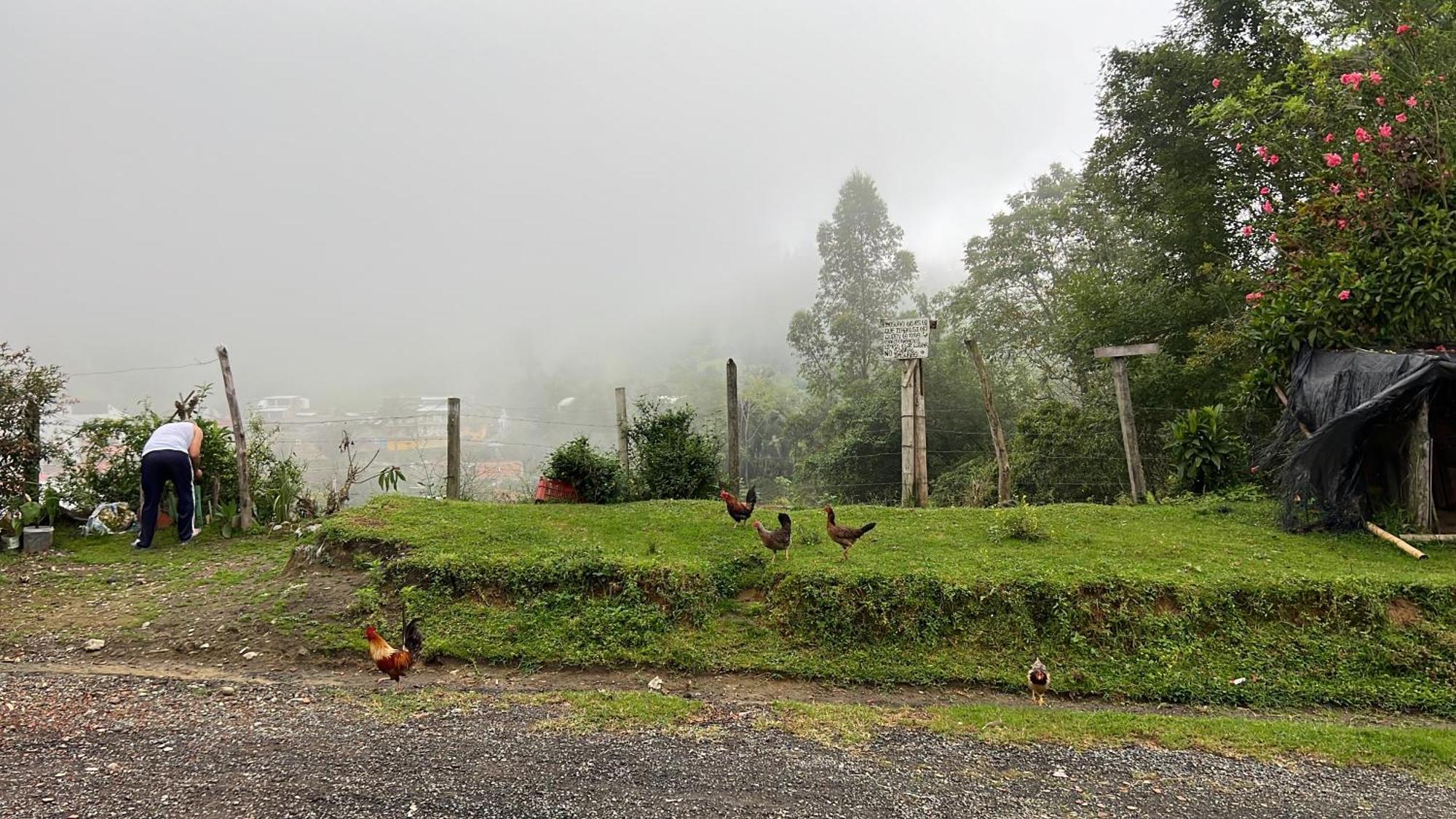 ホテル Posada Donde Cupeto サレント エクステリア 写真