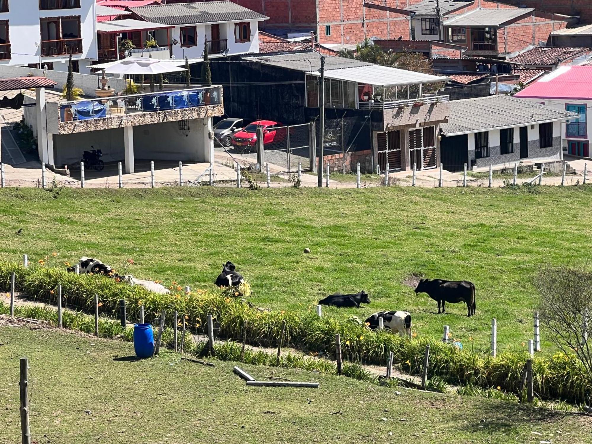 ホテル Posada Donde Cupeto サレント エクステリア 写真