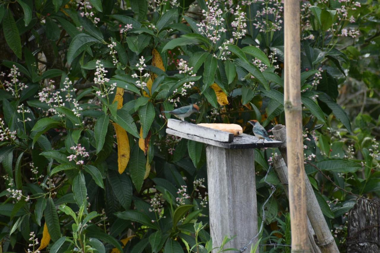 ホテル Posada Donde Cupeto サレント エクステリア 写真