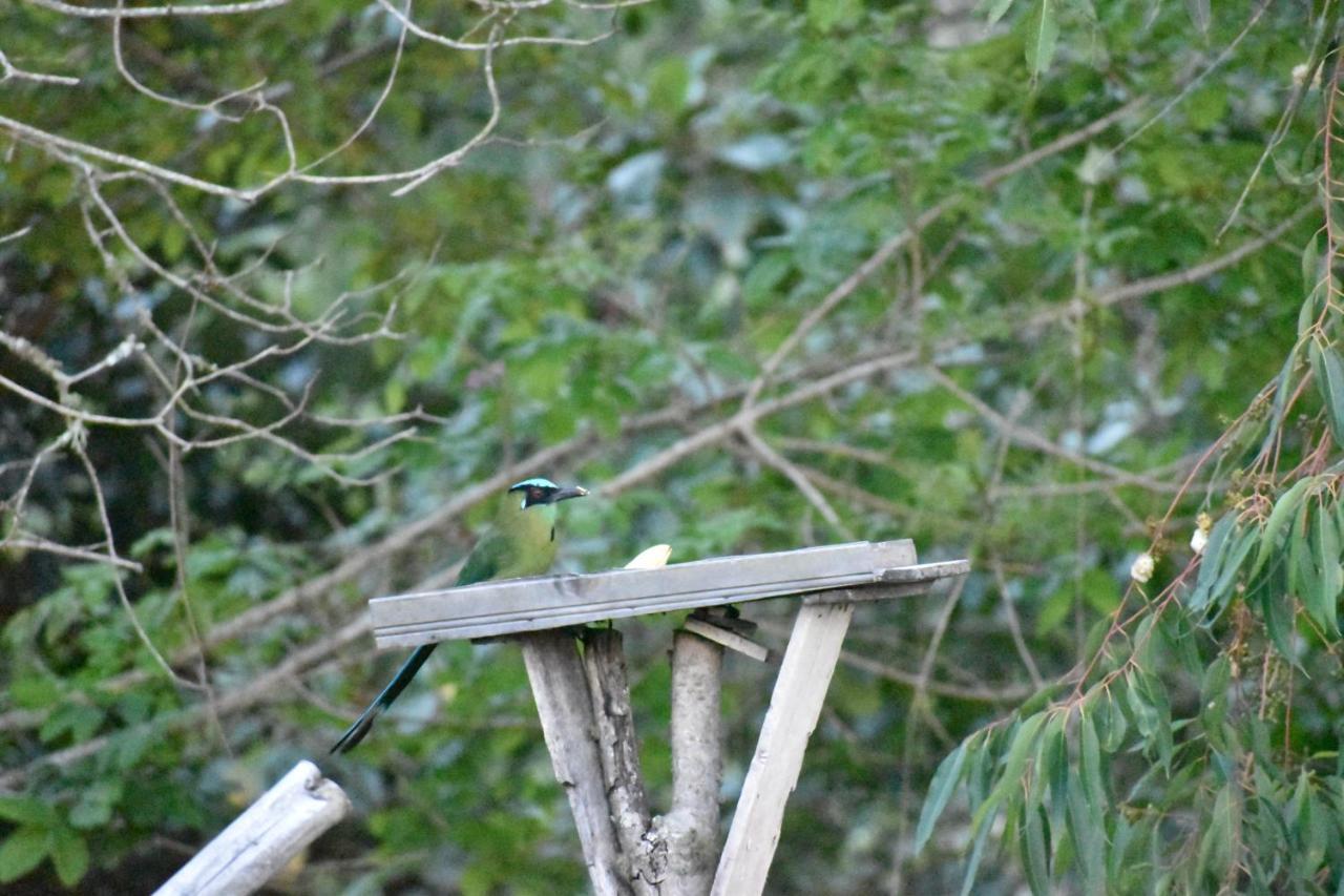 ホテル Posada Donde Cupeto サレント エクステリア 写真