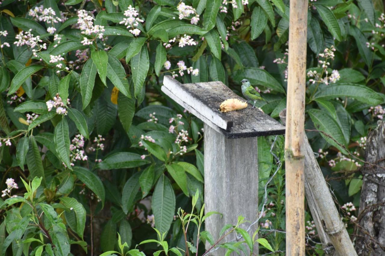 ホテル Posada Donde Cupeto サレント エクステリア 写真